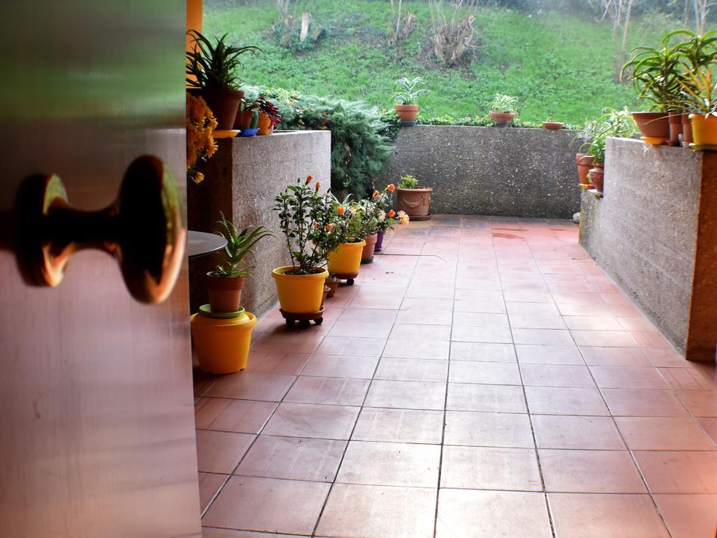 Tarcisio B&B Tavullia Δωμάτιο φωτογραφία